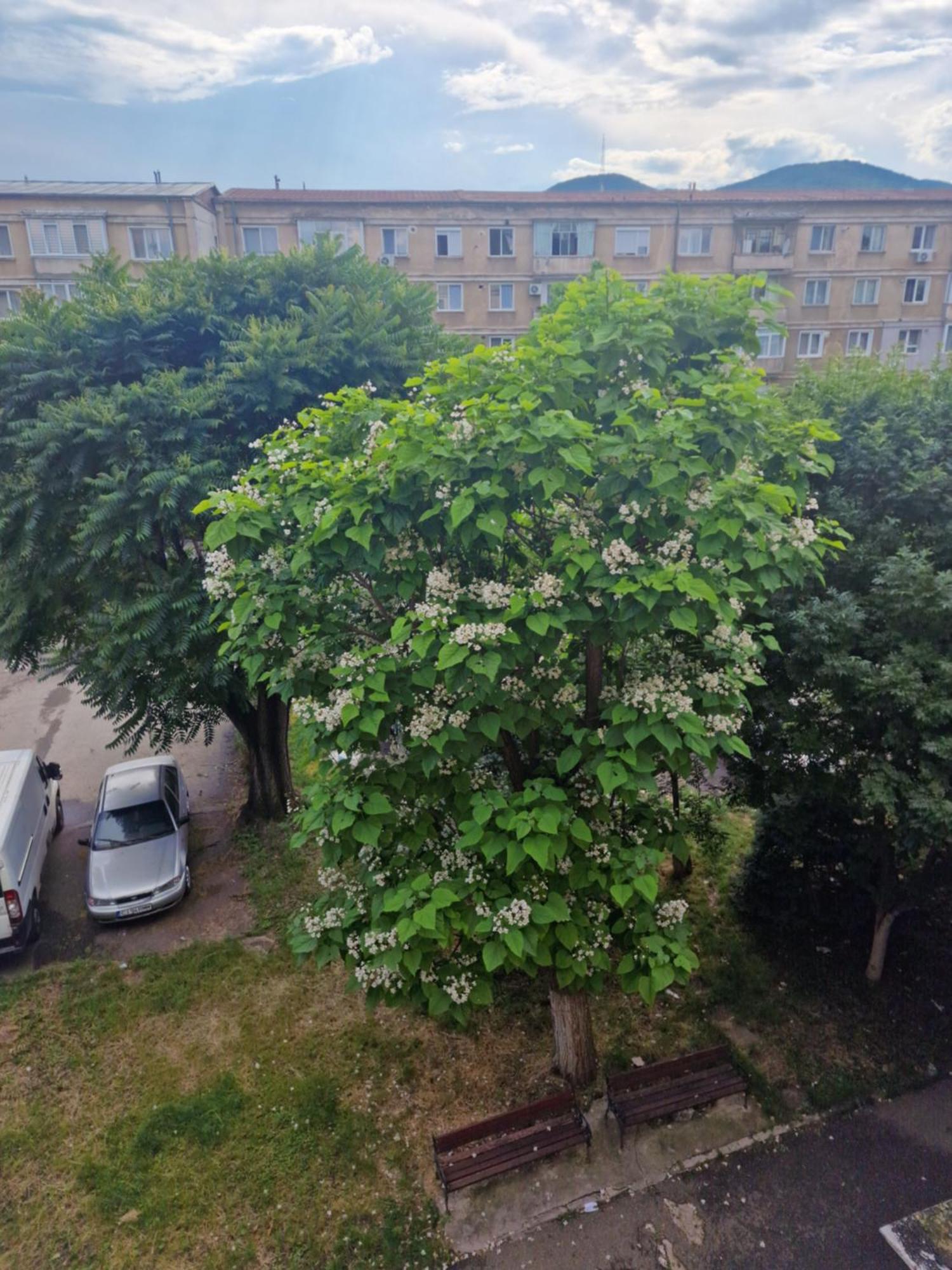Apartament Central Deva Daire Dış mekan fotoğraf
